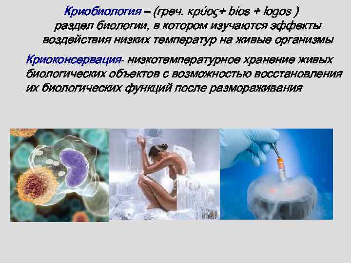Криобиология – (греч. κρύος+ bios + logos ) раздел биологии, в котором изучаются эффекты