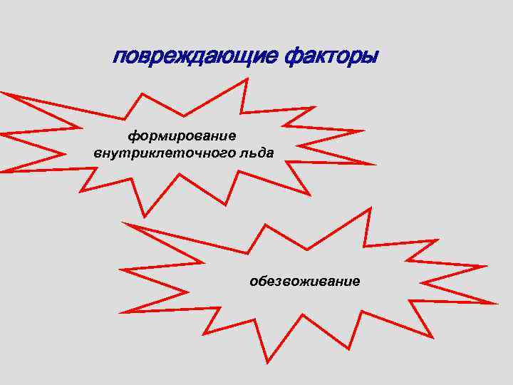 повреждающие факторы формирование внутриклеточного льда обезвоживание 