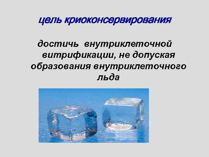 цель криоконсервирования достичь внутриклеточной витрификации, не допуская образования внутриклеточного льда 