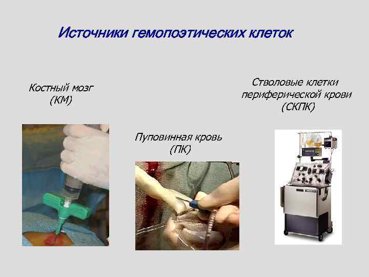 Источники гемопоэтических клеток Стволовые клетки периферической крови (СКПК) Костный мозг (КМ) Пуповинная кровь (ПК)