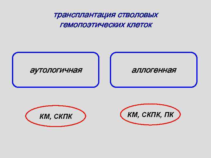 трансплантация стволовых гемопоэтических клеток аутологичная КМ, СКПК аллогенная КМ, СКПК, ПК 