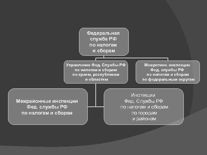 Федеральная служба РФ по налогам и сборам Управления Фед. Службы РФ по налогам и