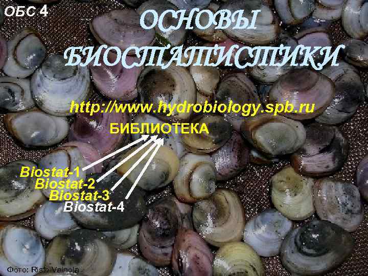 ОБС 4 ОСНОВЫ БИОСТАТИСТИКИ http: //www. hydrobiology. spb. ru БИБЛИОТЕКА Biostat-1 Biostat-2 Biostat-3 Biostat-4