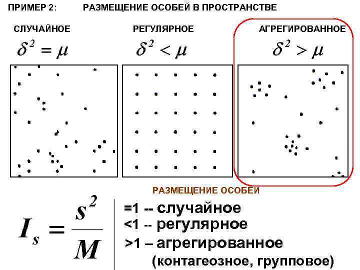 ПРИМЕР 2: РАЗМЕЩЕНИЕ ОСОБЕЙ В ПРОСТРАНСТВЕ СЛУЧАЙНОЕ РЕГУЛЯРНОЕ АГРЕГИРОВАННОЕ РАЗМЕЩЕНИЕ ОСОБЕЙ =1 -- случайное