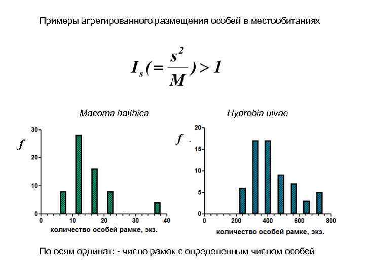 Примеры агрегированного размещения особей в местообитаниях Macoma balthica f Hydrobia ulvae f По осям