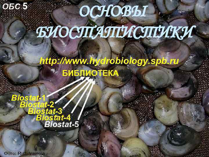 ОБС 5 ОСНОВЫ БИОСТАТИСТИКИ http: //www. hydrobiology. spb. ru БИБЛИОТЕКА Biostat-1 Biostat-2 Biostat-3 Biostat-4
