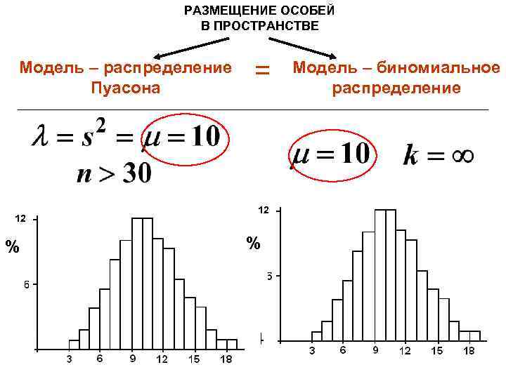 РАЗМЕЩЕНИЕ ОСОБЕЙ В ПРОСТРАНСТВЕ Модель – распределение Пуасона 12 % = 12 % Модель