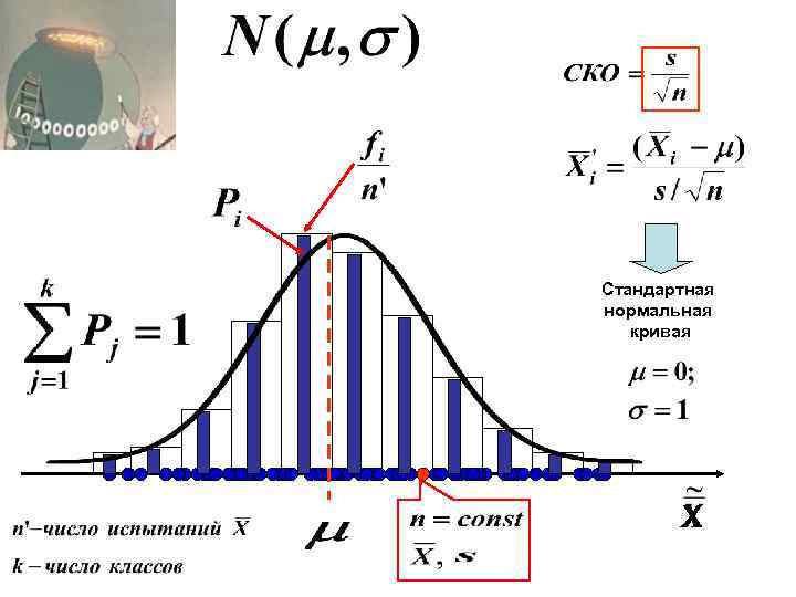 Стандартная нормальная кривая X X 