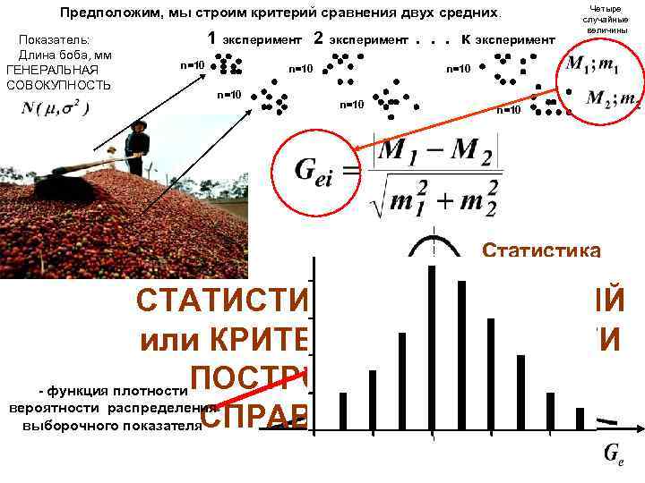 Предположим, мы строим критерий сравнения двух средних. Показатель: Длина боба, мм ГЕНЕРАЛЬНАЯ СОВОКУПНОСТЬ 1