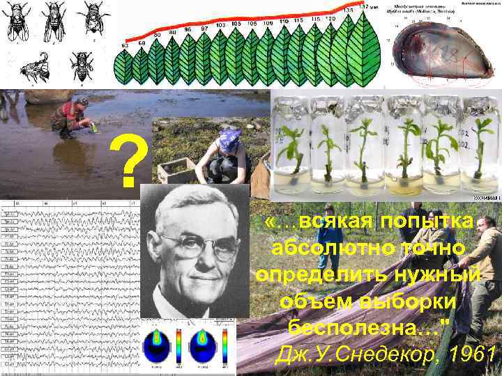 ? «…всякая попытка абсолютно точно определить нужный объем выборки бесполезна…" Дж. У. Снедекор, 1961
