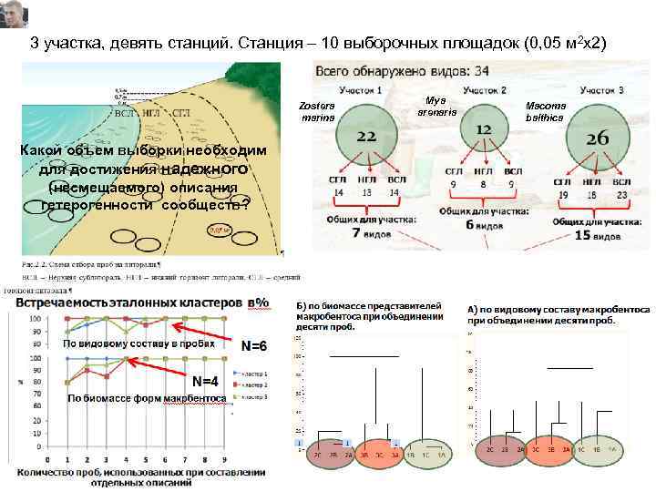3 участка, девять станций. Станция – 10 выборочных площадок (0, 05 м 2 х2)