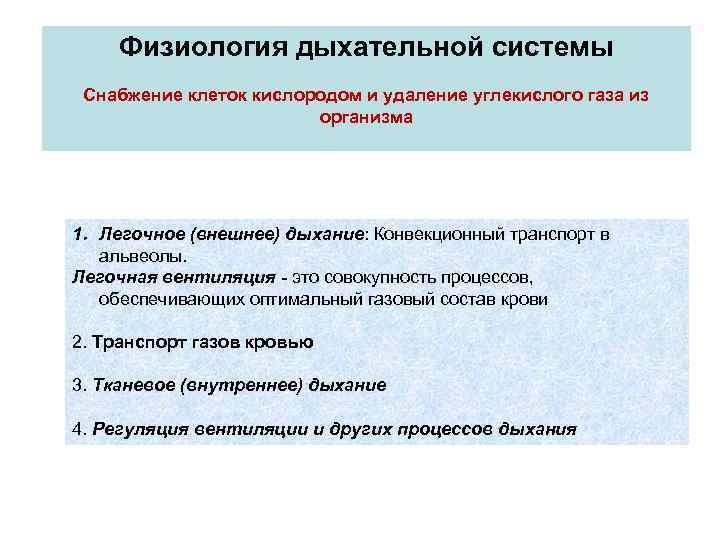 Физиология дыхательной системы Снабжение клеток кислородом и удаление углекислого газа из организма 1. Легочное