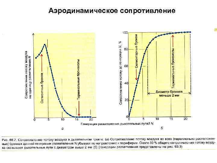 Лобовое сопротивление. Аэродинамическое сопротивление дыхательных путей. Аэродинамическое сопротивление. Аэродинамическое сопротивление дыхательных путей физиология. Аэродинамика дыхания.