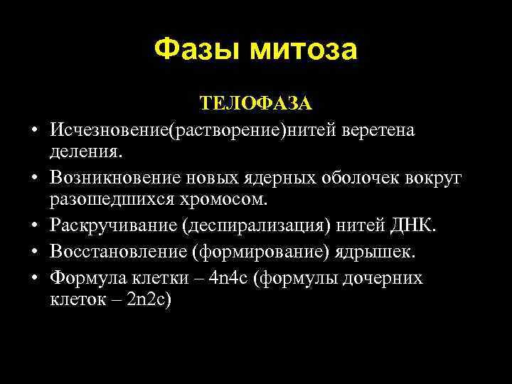 Исчезновение ядерной оболочки происходит в