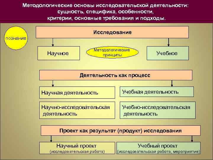 Сущность и специфика культуры