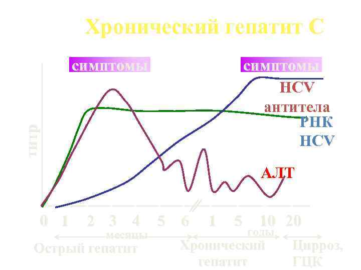 Хронический гепатит С симптомы HCV антитела РНК HCV титр симптомы A ЛT 0 1