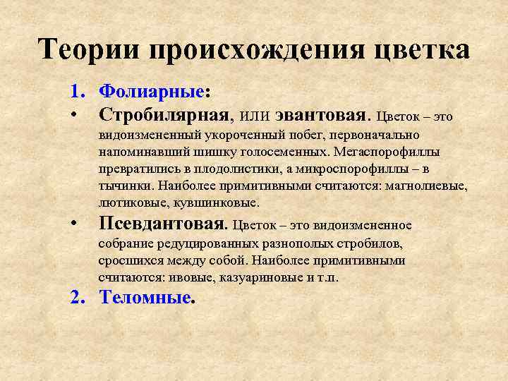 Наиболее примитивный. Гипотезы происхождения цветковых растений. Теории происхождения цветка. Гипотезы происхождения цветка. Гипотезы возникновения цветка..