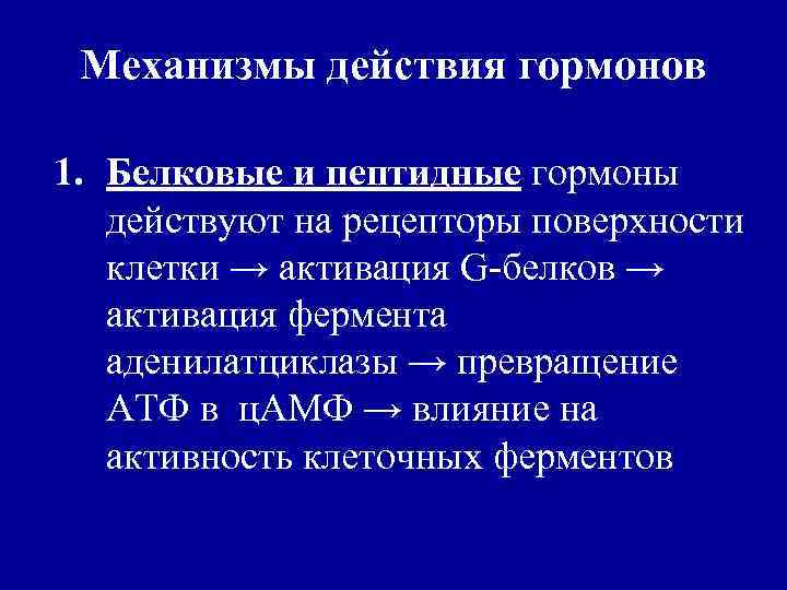 Механизмы действия гормонов 1. Белковые и пептидные гормоны действуют на рецепторы поверхности клетки →