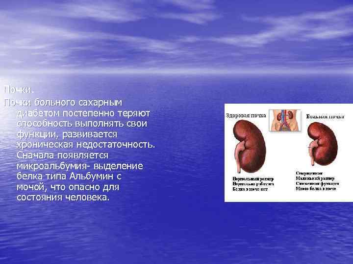 Почки больного сахарным диабетом постепенно теряют способность выполнять свои функции, развивается хроническая недостаточность. Сначала