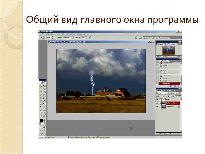 Общий вид главного окна программы 