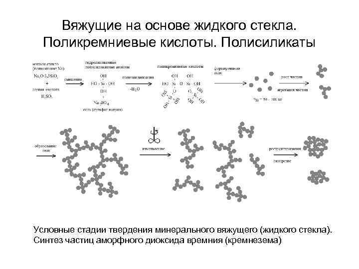 Вяжущие на основе жидкого стекла. Поликремниевые кислоты. Полисиликаты Условные стадии твердения минерального вяжущего (жидкого