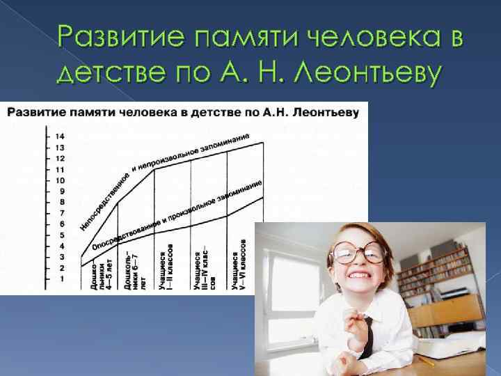 Развитие памяти человека в детстве по А. Н. Леонтьеву 