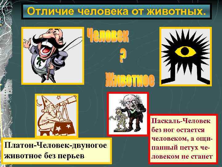 Чем человек отличается от животного 4. Рисунок чем человек отличается от животного. Платон человек это двуногое животное без перьев. Отличие человека от животного Обществознание 8 класс. Отличие человека от животных Обществознание 8 класс.