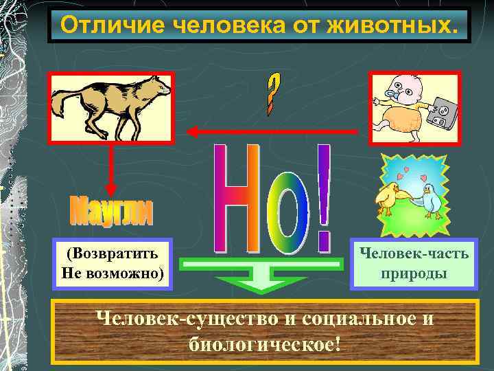 Окружающий мир чем человек отличается от животного. Отличие человека от животного Обществознание. Схема отличия человека от животного. Схема чем человек отличается от животного. Главное отличие человека от животного.