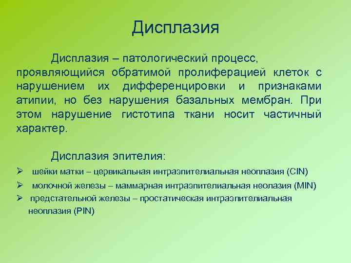 Дисплазия – патологический процесс, проявляющийся обратимой пролиферацией клеток с нарушением их дифференцировки и признаками