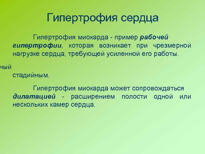 Гипертрофия сердца Гипертрофия миокарда - пример рабочей гипертрофии, которая возникает при чрезмерной нагрузке сердца,