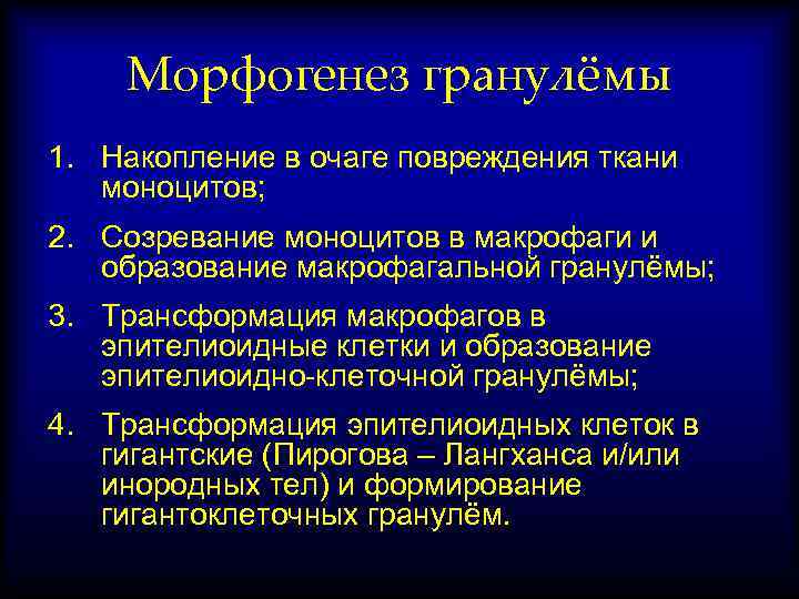 Морфогенез гранулёмы 1. Накопление в очаге повреждения ткани моноцитов; 2. Созревание моноцитов в макрофаги