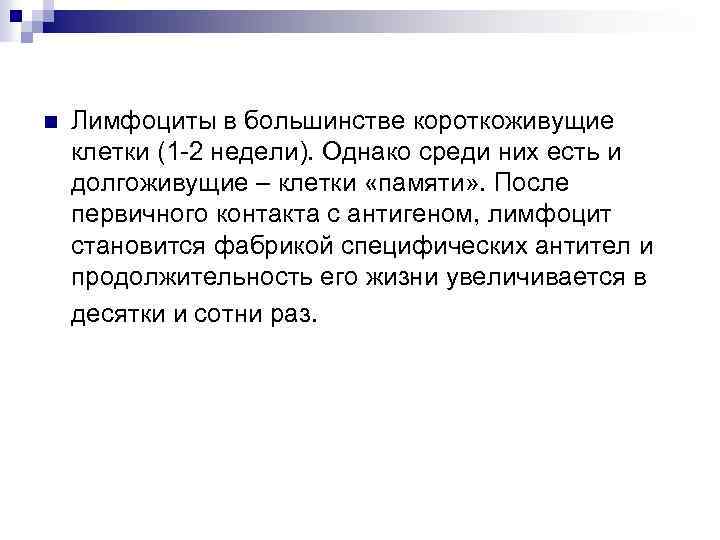 n Лимфоциты в большинстве короткоживущие клетки (1 -2 недели). Однако среди них есть и