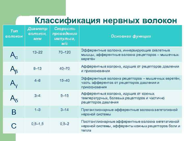 Классификация нервных волокон Диаметр волокон, мкм Скорость проведения импульса, м/с 13– 22 70– 120