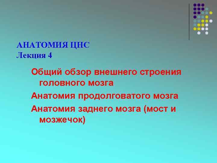 АНАТОМИЯ ЦНС Лекция 4 Общий обзор внешнего строения головного мозга Анатомия продолговатого мозга Анатомия
