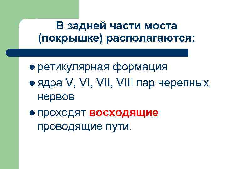 В задней части моста (покрышке) располагаются: l ретикулярная формация l ядра V, VII, VIII