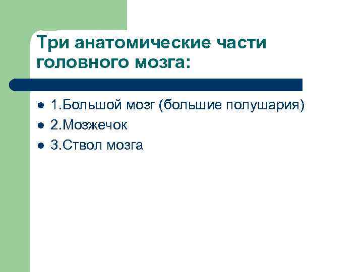 Три анатомические части головного мозга: l l l 1. Большой мозг (большие полушария) 2.