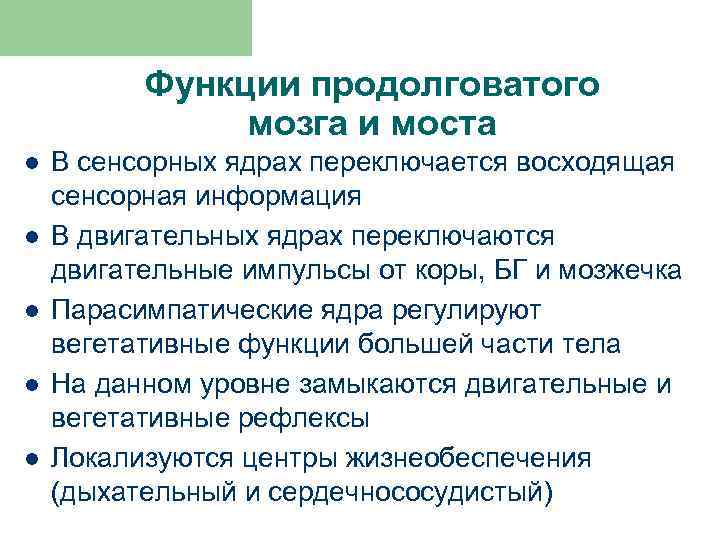 Функции продолговатого мозга и моста l l l В сенсорных ядрах переключается восходящая сенсорная