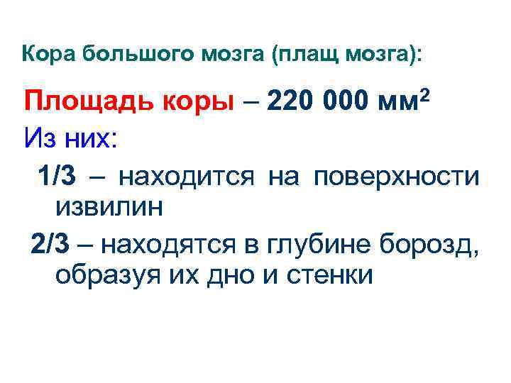 Кора большого мозга (плащ мозга): Площадь коры – 220 000 мм 2 Из них: