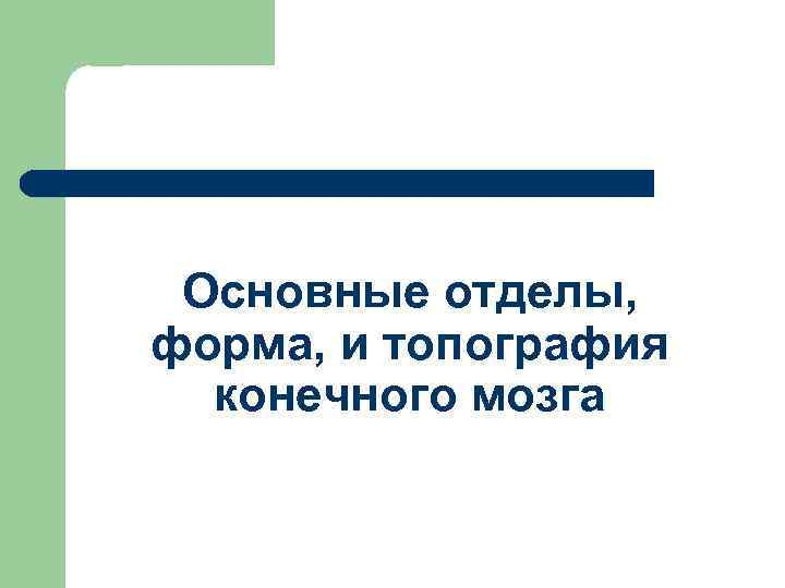 Основные отделы, форма, и топография конечного мозга 