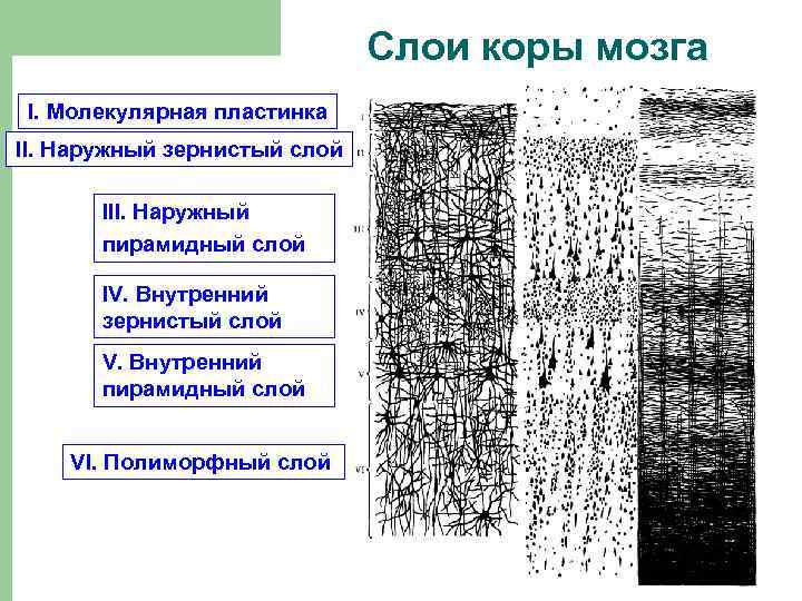 Молекулярная картина поверхностного слоя