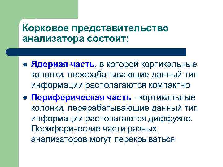 Корковое представительство анализатора состоит: l l Ядерная часть, в которой кортикальные колонки, перерабатывающие данный