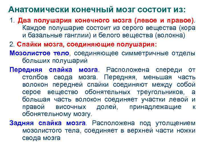 Анатомически конечный мозг состоит из: 1. Два полушария конечного мозга (левое и правое). Каждое