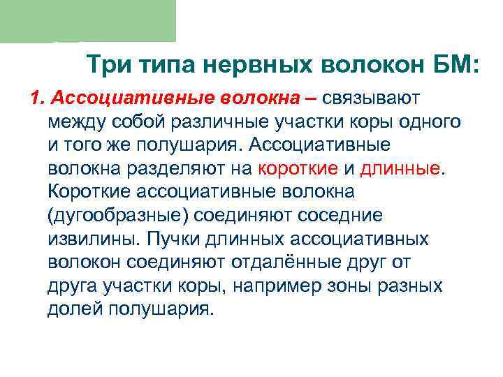 Три типа нервных волокон БМ: 1. Ассоциативные волокна – связывают между собой различные участки