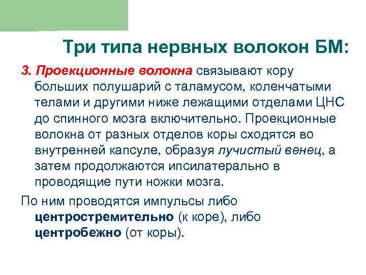 Три типа нервных волокон БМ: 3. Проекционные волокна связывают кору больших полушарий с таламусом,
