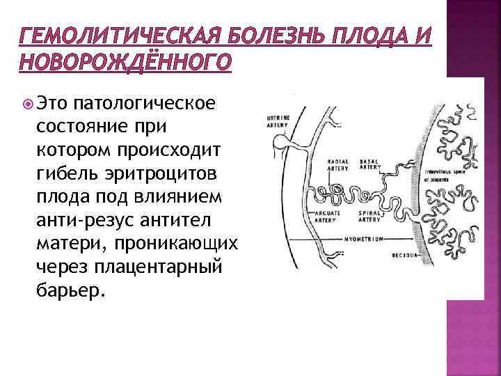 ГЕМОЛИТИЧЕСКАЯ БОЛЕЗНЬ ПЛОДА И НОВОРОЖДЁННОГО Это патологическое состояние при котором происходит гибель эритроцитов плода