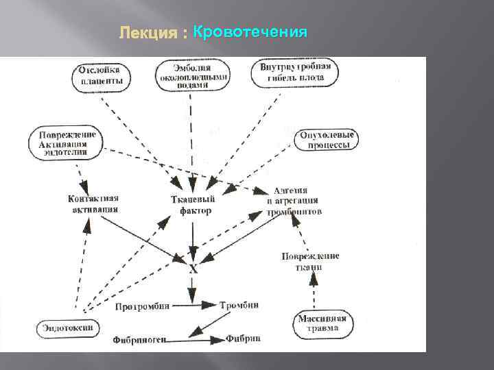 Лекция : Кровотечения 
