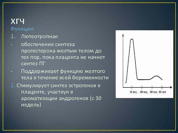 ХГЧ Функции: 1. Лютеотропная - обеспечение синтеза прогестерона желтым телом до тех пор, пока