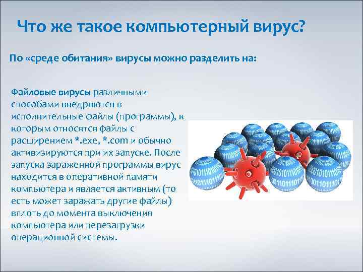 Что же такое компьютерный вирус? По «среде обитания» вирусы можно разделить на: Файловые вирусы