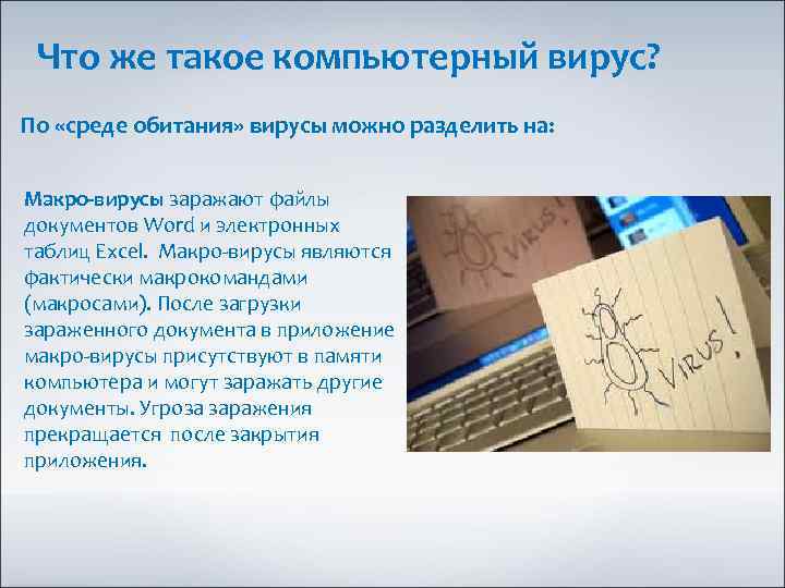 Что же такое компьютерный вирус? По «среде обитания» вирусы можно разделить на: Макро-вирусы заражают