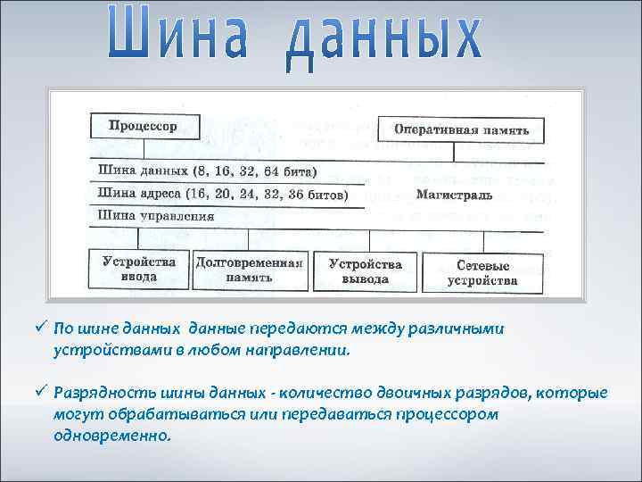 ü По шине данных данные передаются между различными устройствами в любом направлении. ü Разрядность
